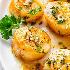 Pan-Seared Scallops