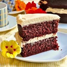 Velvet Cocoa Torte
